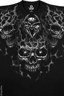 Рисунки на футболках из этой серии сложно объяснить с точки зрения науки... Это мир вне нашего понимания, мир мистики и чудовищ, демонов и драконов... это мир футболок для тех кто верит в чудеса.Яркие рисунки футболок, футболки из облегченного спортивного хлопка. Как обычно у футболок нет швов, рисунок нанесен на футболку по специальной технологии: не прощупывается и не выгорает.